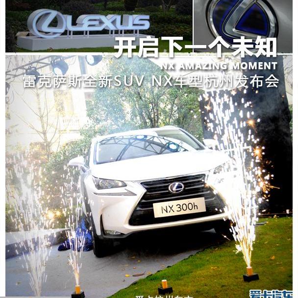 雷克萨斯,雷克萨斯NX,高尔夫,现代,开拓者