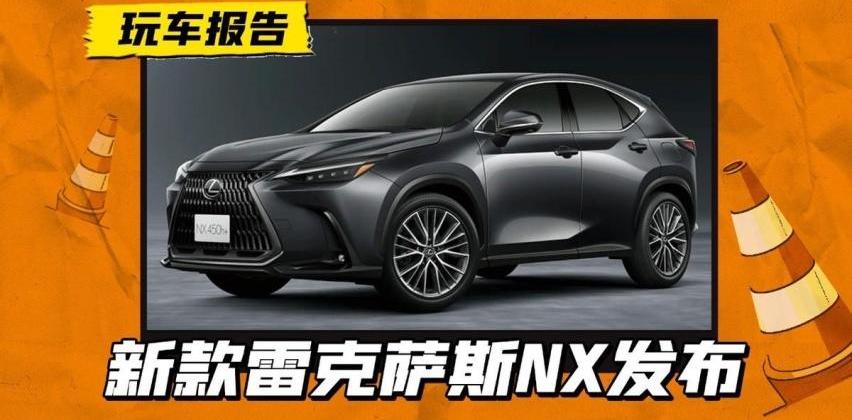 雷克萨斯,雷克萨斯NX,发现,远程