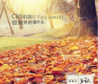 雷克萨斯,雷克萨斯NX,777