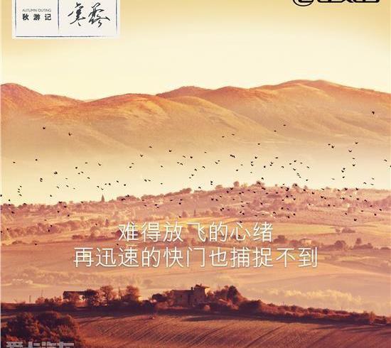 雷克萨斯,雷克萨斯NX
