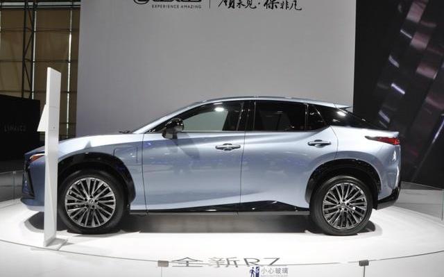 雷克萨斯,雷克萨斯RZ,宝马,宝马iX3,DS