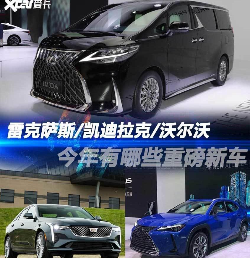 雷克萨斯,雷克萨斯UX,埃尔法,凯迪拉克,雷克萨斯LM