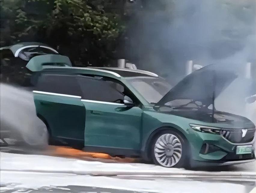 岚图汽车
