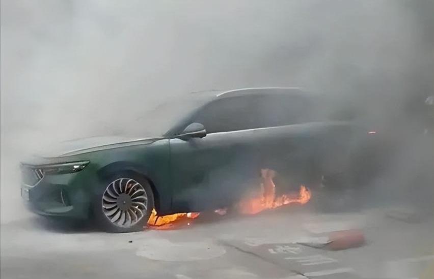 岚图汽车