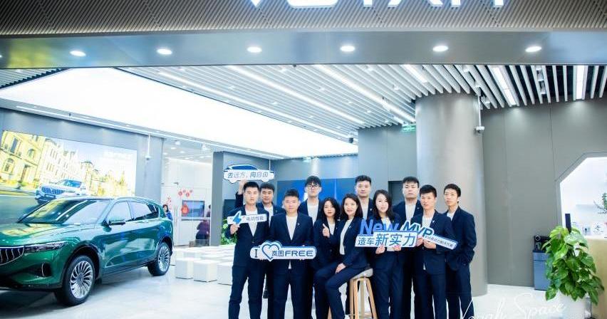 汉,岚图汽车