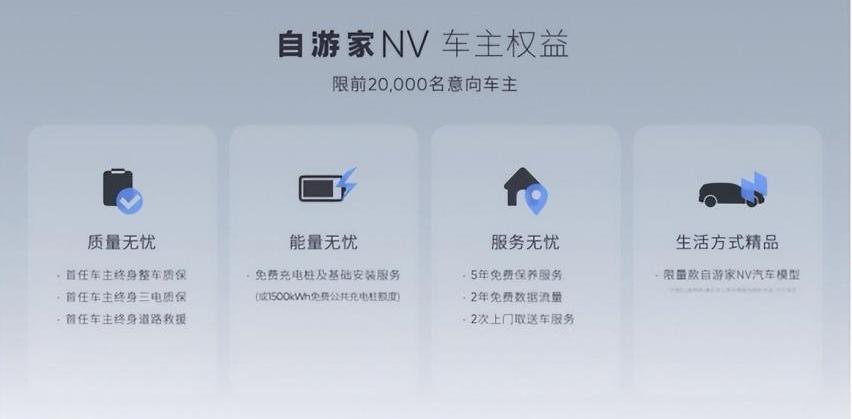 理念,大众,理想ONE,MINI,smart