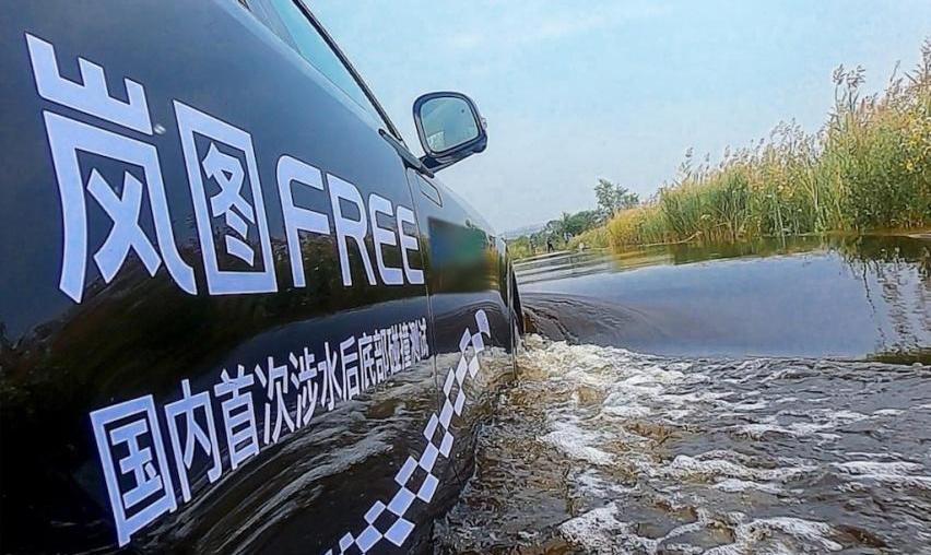岚图汽车,坦克,东风,优越,理想ONE