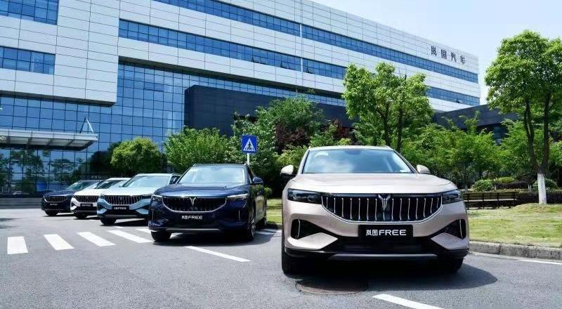 岚图汽车,汉,理念,前途