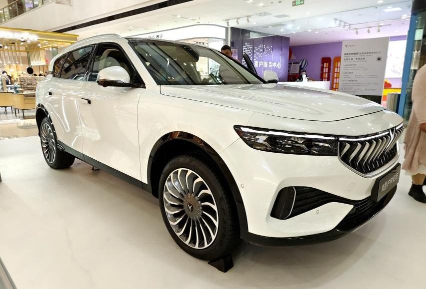 岚图汽车,启运