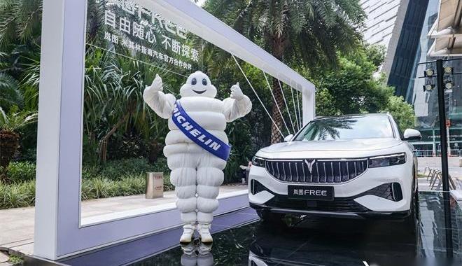 岚图汽车,发现