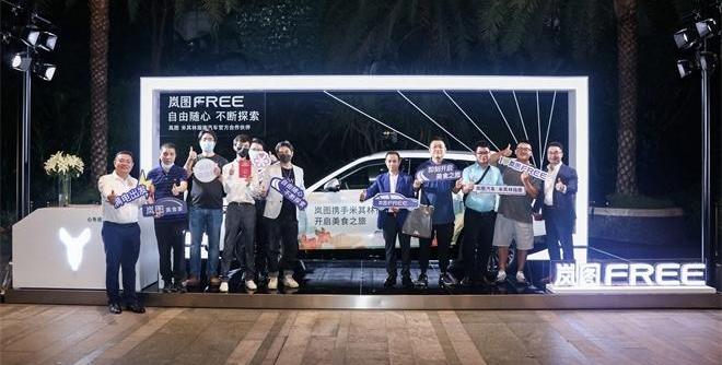岚图汽车,发现