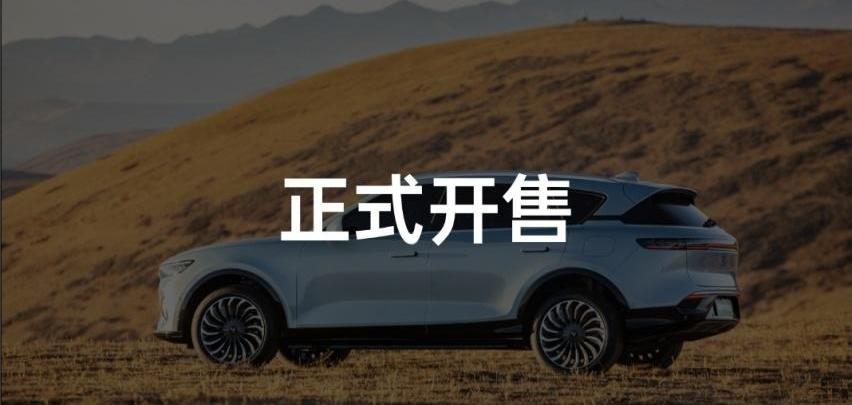理想ONE,东风,蔚来,蔚来ES6,奥迪