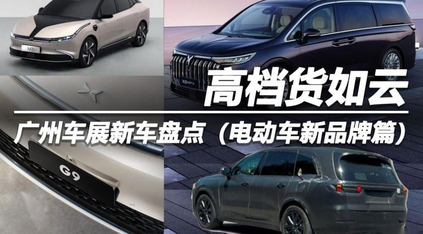 小鹏,威马M7,小鹏G9,埃安,别克