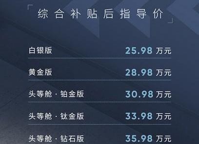 荣威,荣威iMAX8,比亚迪,发现,炮