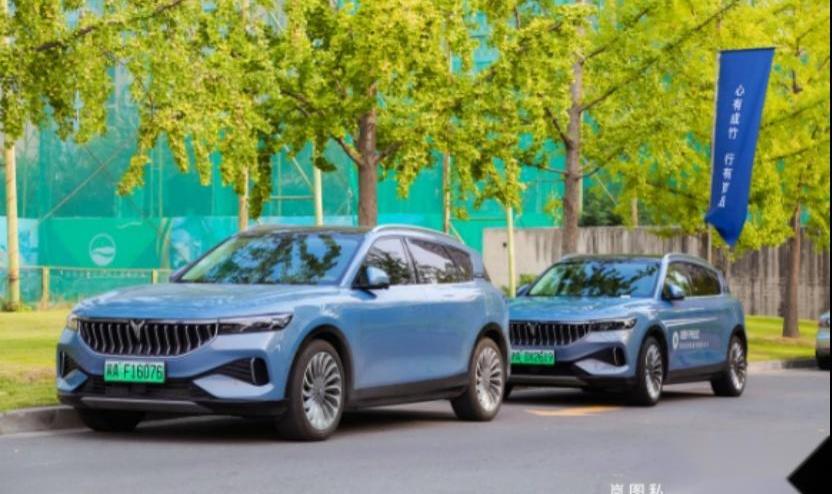 东风,岚图汽车,发现,现代,远程