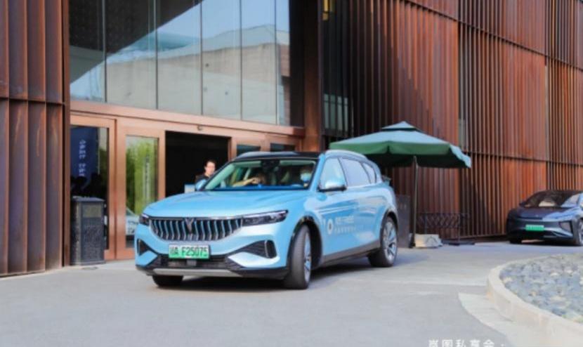 东风,岚图汽车,发现,现代,远程