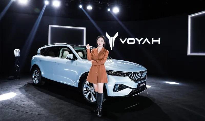 岚图汽车,蔚来,东风,现代,北京