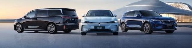 路虎,岚图汽车,大众,帕萨特,岚图追光