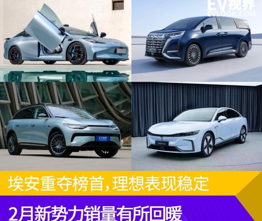 极氪,埃安,腾势,长安,小鹏