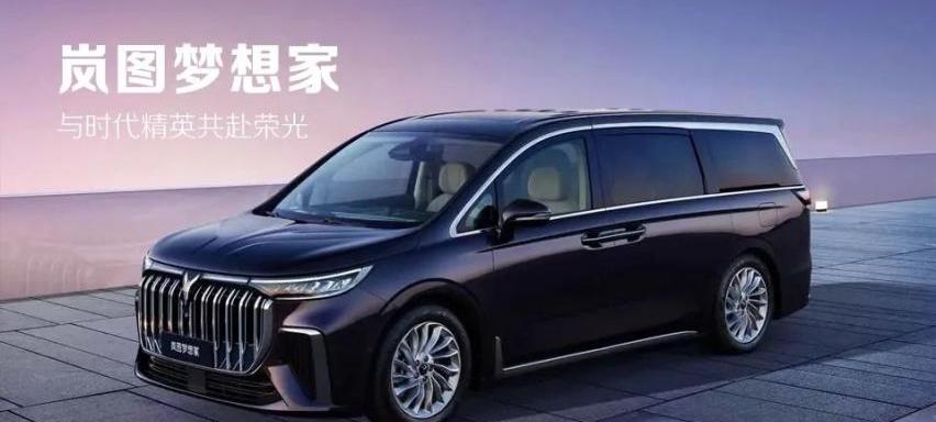 岚图汽车,大众,岚图追光,东风,现代