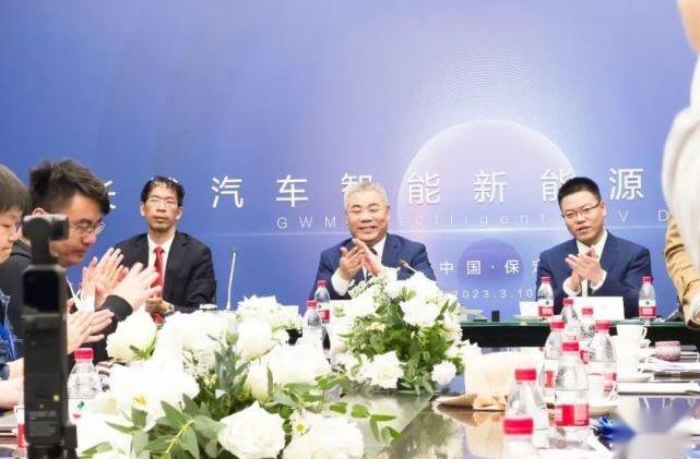 长城,哈弗,比亚迪,欧拉,特斯拉