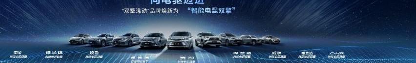 丰田,汉兰达,凯美瑞,汉,赛那