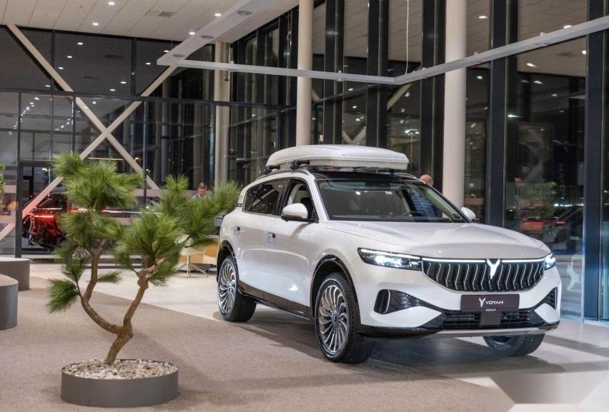 岚图汽车,汉