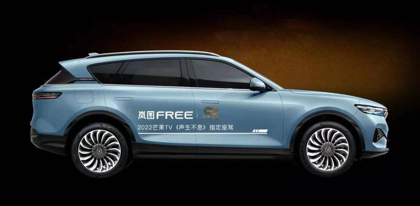 岚图汽车,世纪