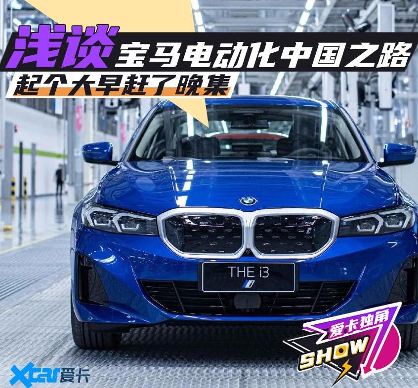 宝马,MINI,宝马i3,长城,特斯拉