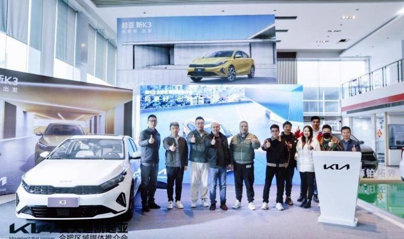 起亚,smart,起亚K3,远程