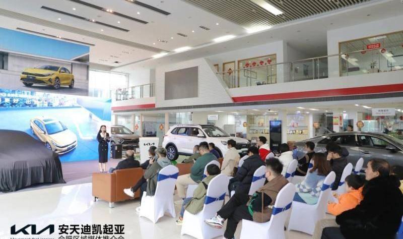 起亚,smart,起亚K3,远程