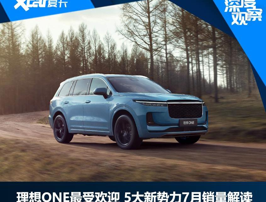 小鹏,蔚来,理想汽车,零跑汽车,哪吒汽车