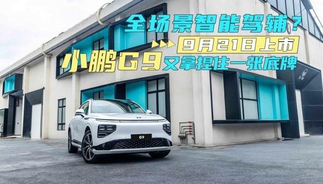 小鹏,蔚来,理想L9,小鹏G9,特斯拉