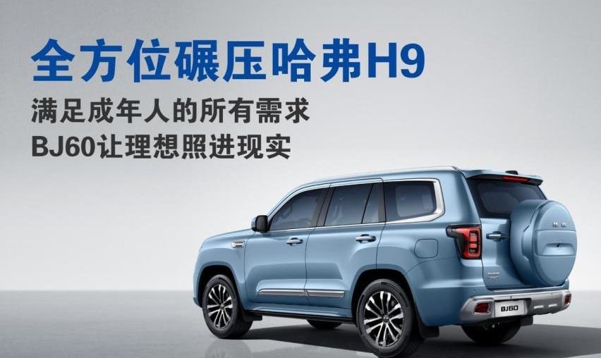 哈弗,哈弗H9,北京,仰望,远程