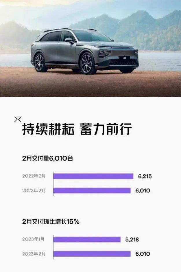 蔚来,小鹏,埃安,比亚迪,理想汽车