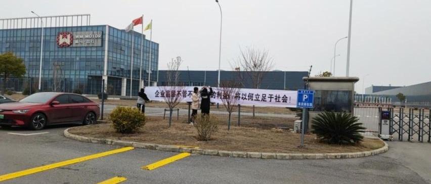 威马汽车,蔚来,小鹏