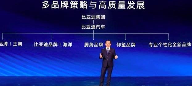 比亚迪,腾势,仰望,海豚,腾势D9