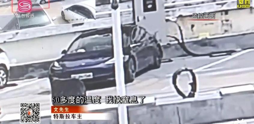 特斯拉,领克,领克05,理想ONE,发现
