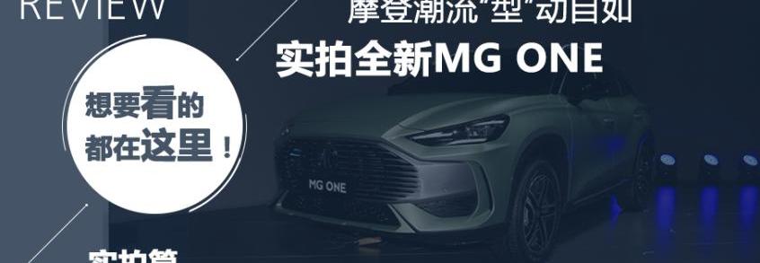 名爵,斑马