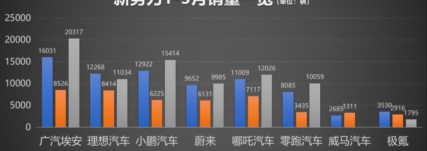小鹏,蔚来,理想汽车,埃安,极氪