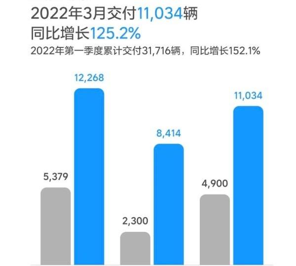 小鹏,蔚来,理想汽车,埃安,极氪