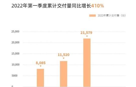 小鹏,蔚来,理想汽车,埃安,极氪