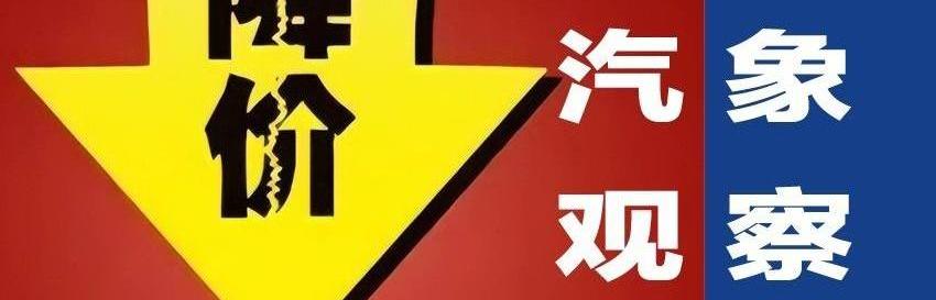 特斯拉,东风,雪铁龙