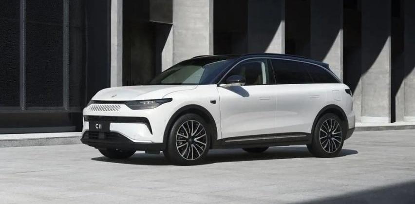 小鹏,比亚迪,极氪,零跑汽车,腾势