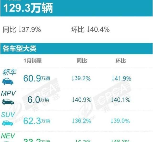 比亚迪,特斯拉,元PLUS,海豚,理想汽车