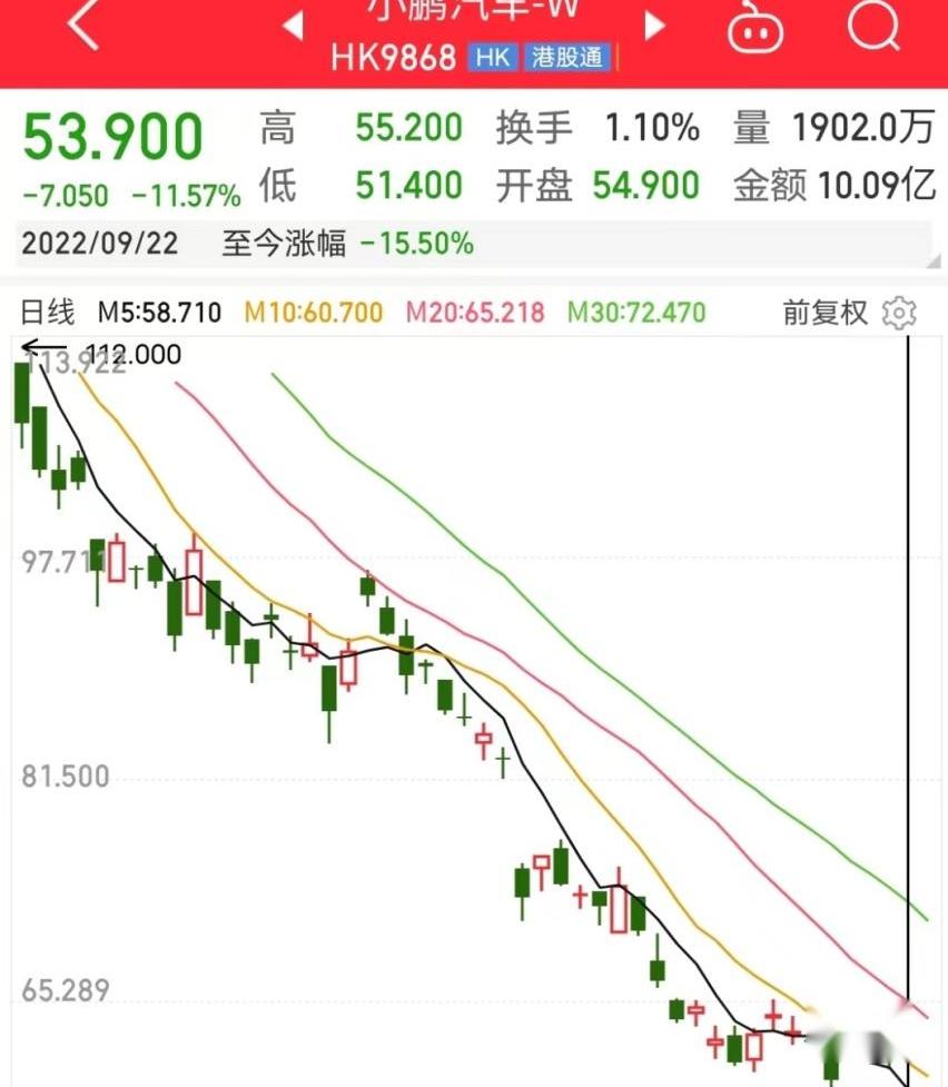 小鹏,小鹏G9,理想汽车,理想L8