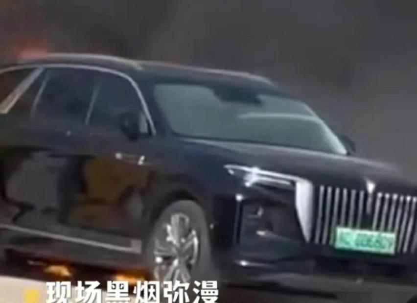 红旗,红旗E-HS9,比亚迪,理想L9,特斯拉