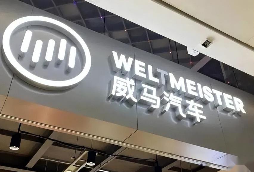 比亚迪,小鹏,蔚来,长城,特斯拉