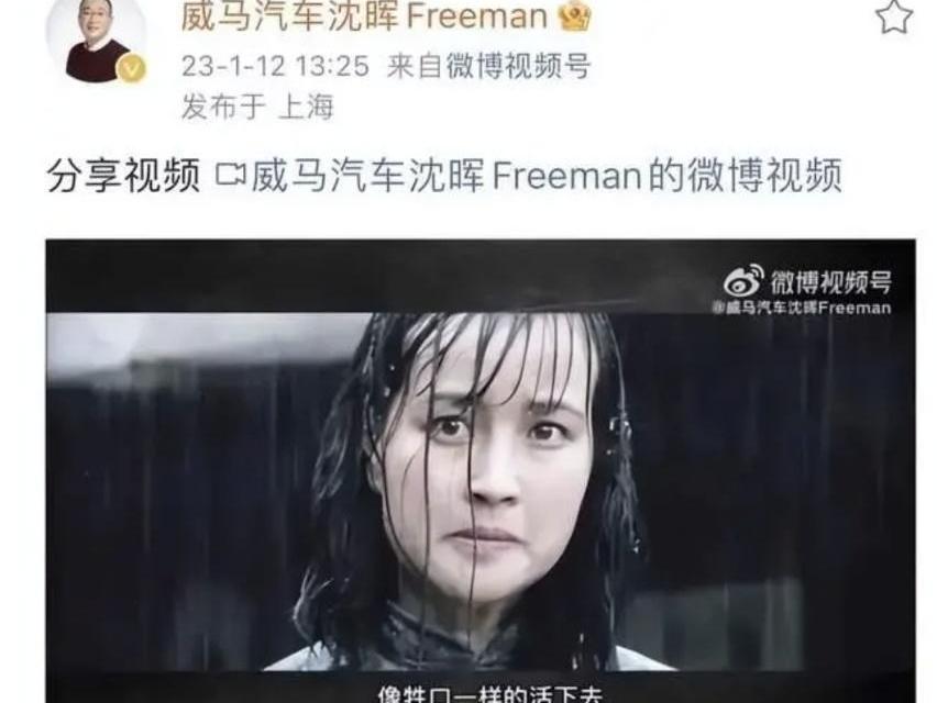 威马汽车,蔚来,小鹏,长安,长安深蓝