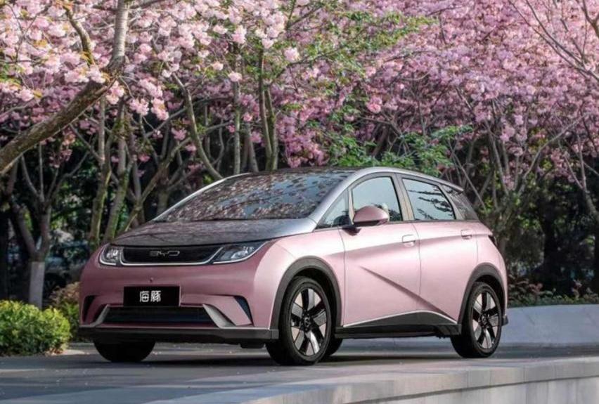 比亚迪,MINI,埃安,特斯拉,理想L9